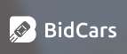 BidCars – Opinie, aukcje, import pod dom